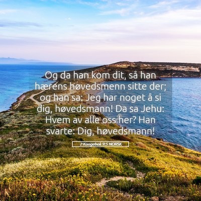 Picture 05 - 2 Kongebok 9:5 NORSK - Og da han kom dit, så han hærens høvedsmenn - Bible Verse Picture