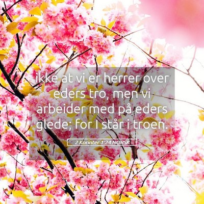 Picture 05 - 2 Korinter 1:24 NORSK - ikke at vi er herrer over eders tro, men vi - Bible Verse Picture