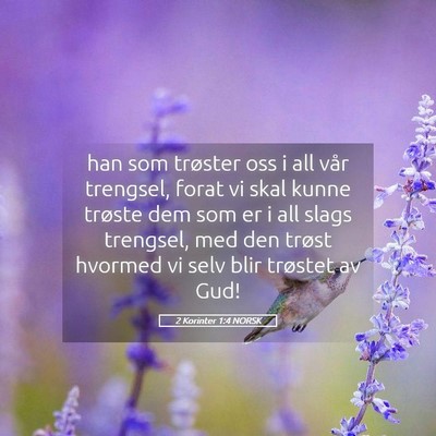 Picture 05 - 2 Korinter 1:4 NORSK - han som trøster oss i all vår trengsel, forat - Bible Verse Picture