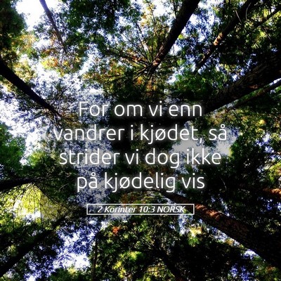 Picture 05 - 2 Korinter 10:3 NORSK - For om vi enn vandrer i kjødet, så strider vi - Bible Verse Picture
