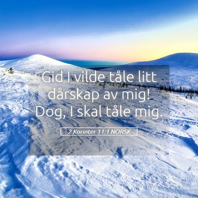Picture 05 - 2 Korinter 11:1 NORSK - Gid I vilde tåle litt dårskap av mig! Dog, I - Bible Verse Picture