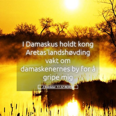 Picture 05 - 2 Korinter 11:32 NORSK - I Damaskus holdt kong Aretas'landshøvding vakt - Bible Verse Picture