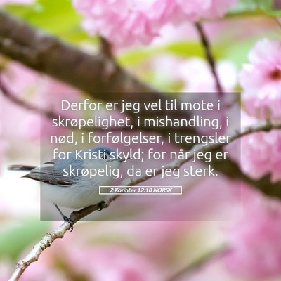 Picture 05 - 2 Korinter 12:10 NORSK - Derfor er jeg vel til mote i skrøpelighet, i - Bible Verse Picture