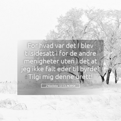 Picture 05 - 2 Korinter 12:13 NORSK - For hvad var det I blev tilsidesatt i for de - Bible Verse Picture
