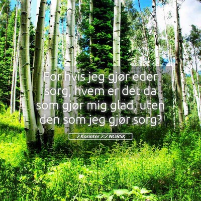 Picture 05 - 2 Korinter 2:2 NORSK - For hvis jeg gjør eder sorg, hvem er det da som - Bible Verse Picture