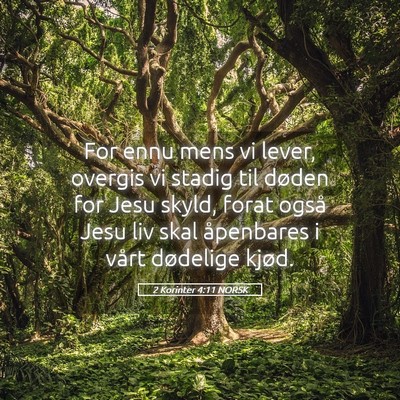 Picture 05 - 2 Korinter 4:11 NORSK - For ennu mens vi lever, overgis vi stadig til - Bible Verse Picture
