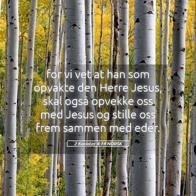 Picture 05 - 2 Korinter 4:14 NORSK - for vi vet at han som opvakte den Herre Jesus, - Bible Verse Picture