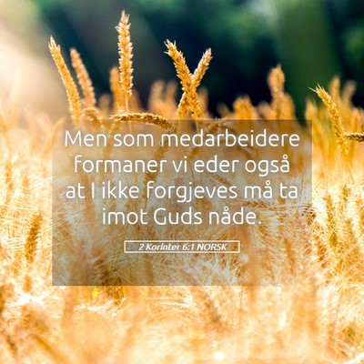 Picture 05 - 2 Korinter 6:1 NORSK - Men som medarbeidere formaner vi eder også at I - Bible Verse Picture