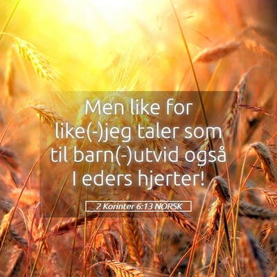 Picture 05 - 2 Korinter 6:13 NORSK - Men like for like(-)jeg taler som til - Bible Verse Picture