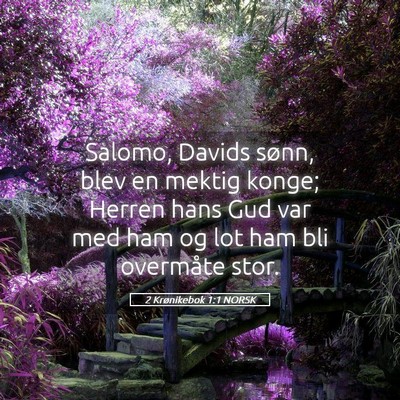 Picture 05 - 2 Krønikebok 1:1 NORSK - Salomo, Davids sønn, blev en mektig konge; - Bible Verse Picture