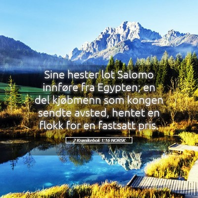 Picture 05 - 2 Krønikebok 1:16 NORSK - Sine hester lot Salomo innføre fra Egypten; en - Bible Verse Picture