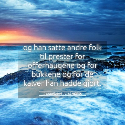 Picture 05 - 2 Krønikebok 11:15 NORSK - og han satte andre folk til prester for - Bible Verse Picture