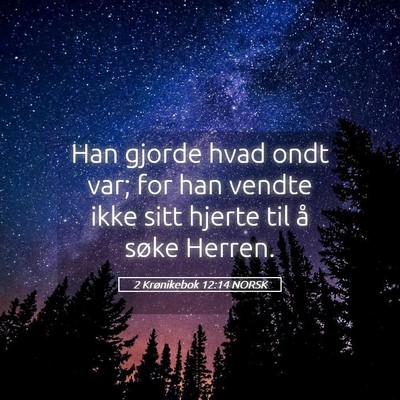 Picture 05 - 2 Krønikebok 12:14 NORSK - Han gjorde hvad ondt var; for han vendte ikke - Bible Verse Picture