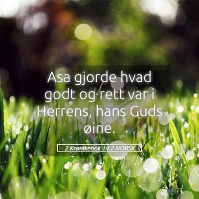 Picture 05 - 2 Krønikebok 14:2 NORSK - Asa gjorde hvad godt og rett var i Herrens, hans - Bible Verse Picture