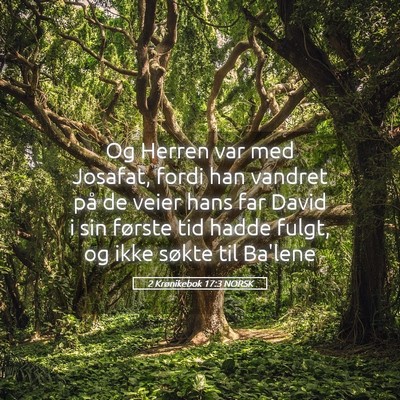 Picture 05 - 2 Krønikebok 17:3 NORSK - Og Herren var med Josafat, fordi han vandret på - Bible Verse Picture