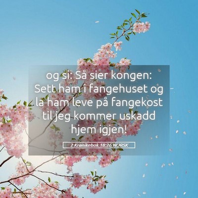 Picture 05 - 2 Krønikebok 18:26 NORSK - og si: Så sier kongen: Sett ham i fangehuset og - Bible Verse Picture