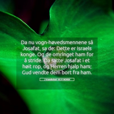 Picture 05 - 2 Krønikebok 18:31 NORSK - Da nu vogn-høvedsmennene så Josafat, sa de: - Bible Verse Picture