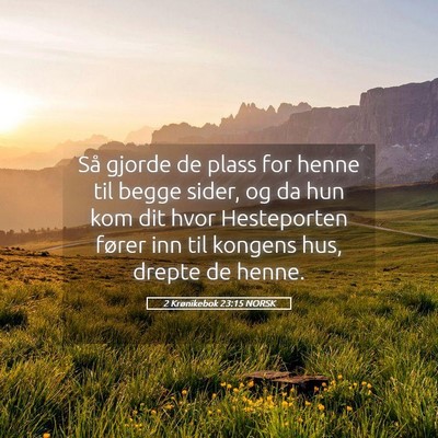 Picture 05 - 2 Krønikebok 23:15 NORSK - Så gjorde de plass for henne til begge sider, og - Bible Verse Picture