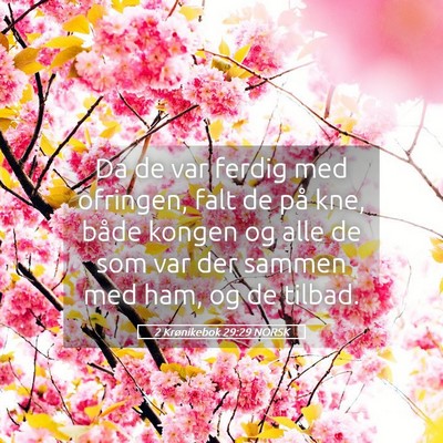 Picture 05 - 2 Krønikebok 29:29 NORSK - Da de var ferdig med ofringen, falt de på kne, - Bible Verse Picture