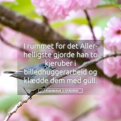 Picture 05 - 2 Krønikebok 3:10 NORSK - I rummet for det Aller-helligste gjorde han to - Bible Verse Picture