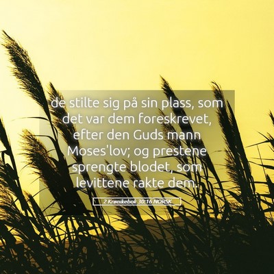 Picture 05 - 2 Krønikebok 30:16 NORSK - de stilte sig på sin plass, som det var dem - Bible Verse Picture