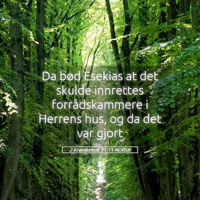Picture 05 - 2 Krønikebok 31:11 NORSK - Da bød Esekias at det skulde innrettes - Bible Verse Picture