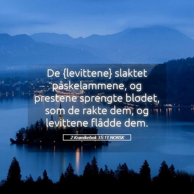 Picture 05 - 2 Krønikebok 35:11 NORSK - De {levittene} slaktet påskelammene, og prestene - Bible Verse Picture