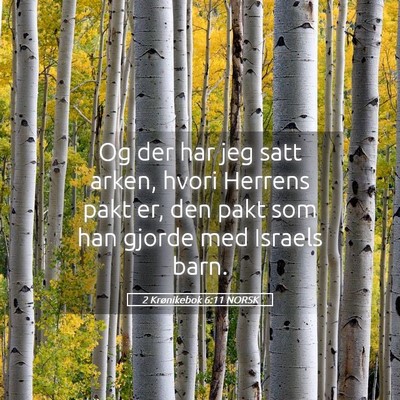 Picture 05 - 2 Krønikebok 6:11 NORSK - Og der har jeg satt arken, hvori Herrens pakt er, - Bible Verse Picture