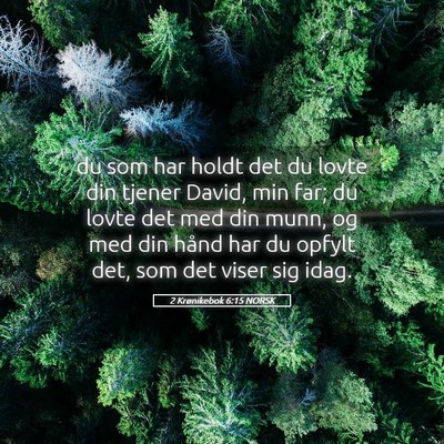Picture 05 - 2 Krønikebok 6:15 NORSK - du som har holdt det du lovte din tjener David, - Bible Verse Picture