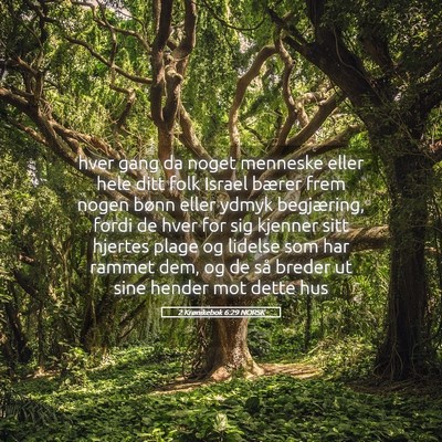 Picture 05 - 2 Krønikebok 6:29 NORSK - hver gang da noget menneske eller hele ditt folk - Bible Verse Picture