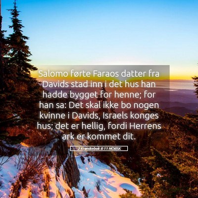 Picture 05 - 2 Krønikebok 8:11 NORSK - Salomo førte Faraos datter fra Davids stad inn i - Bible Verse Picture