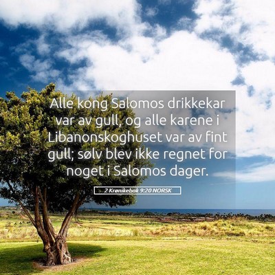 Picture 05 - 2 Krønikebok 9:20 NORSK - Alle kong Salomos drikkekar var av gull, og alle - Bible Verse Picture