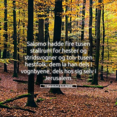 Picture 05 - 2 Krønikebok 9:25 NORSK - Salomo hadde fire tusen stallrum for hester og - Bible Verse Picture