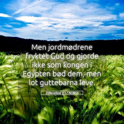 Picture 05 - 2 Mosebok 1:17 NORSK - Men jordmødrene fryktet Gud og gjorde ikke som - Bible Verse Picture