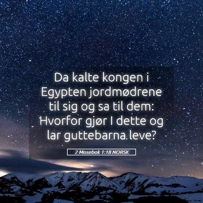 Picture 05 - 2 Mosebok 1:18 NORSK - Da kalte kongen i Egypten jordmødrene til sig og - Bible Verse Picture