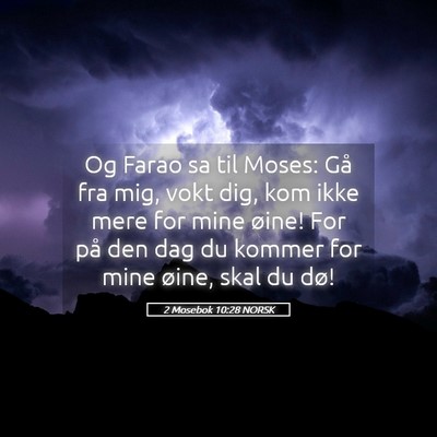 Picture 05 - 2 Mosebok 10:28 NORSK - Og Farao sa til Moses: Gå fra mig, vokt dig, kom - Bible Verse Picture