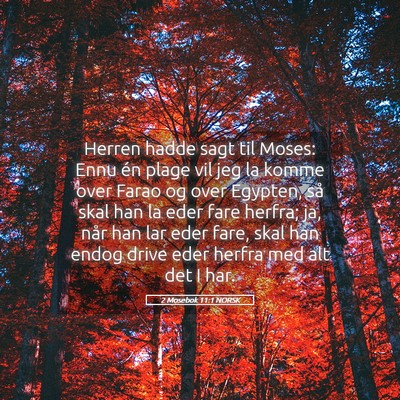 Picture 05 - 2 Mosebok 11:1 NORSK - Herren hadde sagt til Moses: Ennu én plage vil - Bible Verse Picture