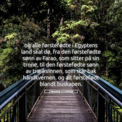 Picture 05 - 2 Mosebok 11:5 NORSK - og alle førstefødte i Egyptens land skal dø, - Bible Verse Picture