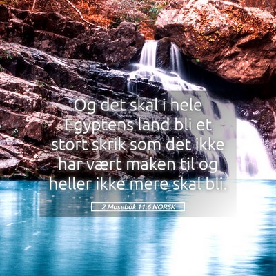Picture 05 - 2 Mosebok 11:6 NORSK - Og det skal i hele Egyptens land bli et stort - Bible Verse Picture