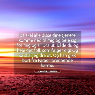Picture 05 - 2 Mosebok 11:8 NORSK - Da skal alle disse dine tjenere komme ned til mig - Bible Verse Picture