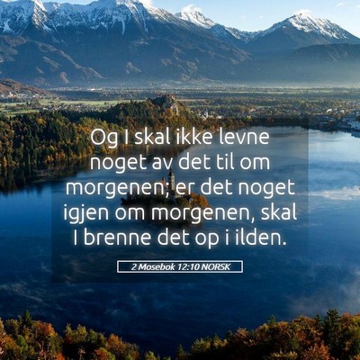 Picture 05 - 2 Mosebok 12:10 NORSK - Og I skal ikke levne noget av det til om - Bible Verse Picture