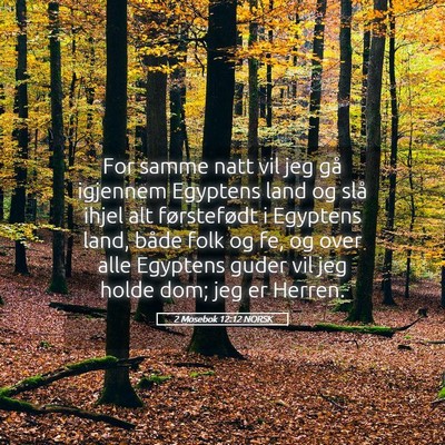 Picture 05 - 2 Mosebok 12:12 NORSK - For samme natt vil jeg gå igjennem Egyptens land - Bible Verse Picture