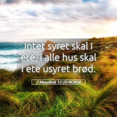 Picture 05 - 2 Mosebok 12:20 NORSK - Intet syret skal I ete, i alle hus skal I ete - Bible Verse Picture
