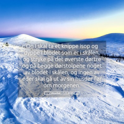 Picture 05 - 2 Mosebok 12:22 NORSK - Og I skal ta et knippe isop og dyppe i blodet som - Bible Verse Picture
