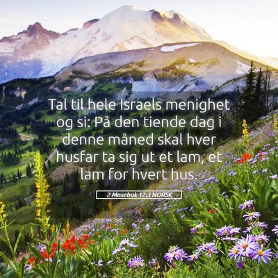 Picture 05 - 2 Mosebok 12:3 NORSK - Tal til hele Israels menighet og si: På den - Bible Verse Picture