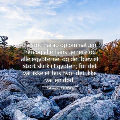 Picture 05 - 2 Mosebok 12:30 NORSK - Da stod Farao op om natten, han og alle hans - Bible Verse Picture