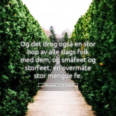 Picture 05 - 2 Mosebok 12:38 NORSK - Og det drog også en stor hop av alle slags folk - Bible Verse Picture