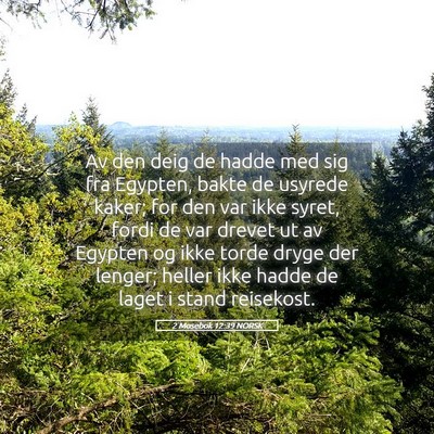 Picture 05 - 2 Mosebok 12:39 NORSK - Av den deig de hadde med sig fra Egypten, bakte - Bible Verse Picture