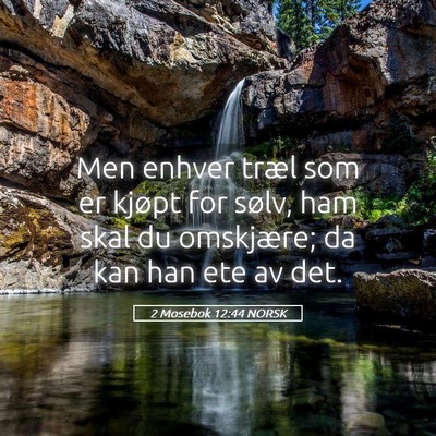 Picture 05 - 2 Mosebok 12:44 NORSK - Men enhver træl som er kjøpt for sølv, ham - Bible Verse Picture