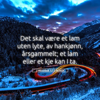 Picture 05 - 2 Mosebok 12:5 NORSK - Det skal være et lam uten lyte, av hankjønn, - Bible Verse Picture
